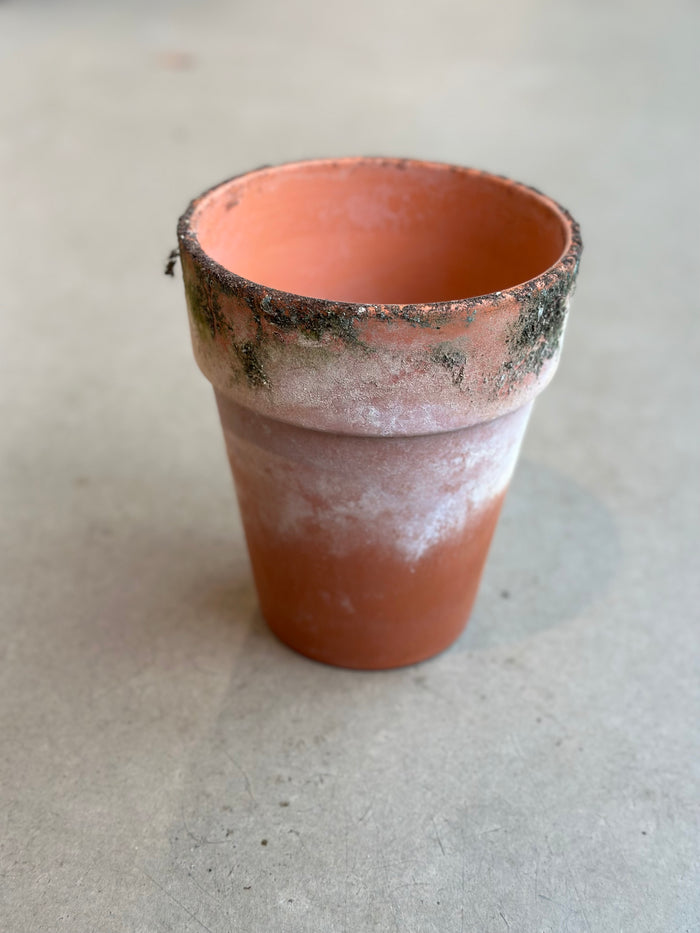 Lerkrukke - Natur - 14