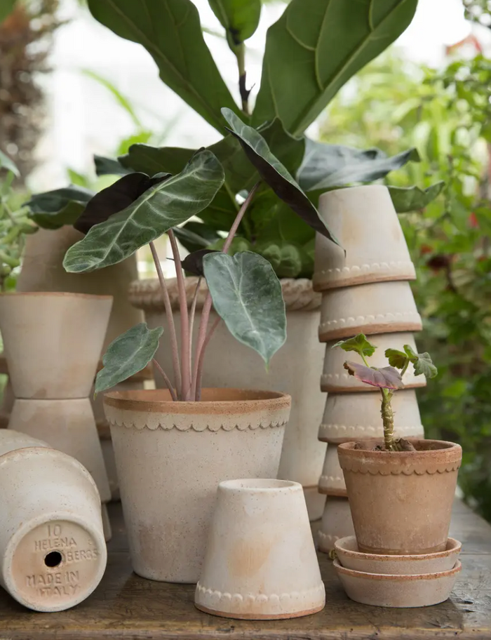 Bergs Potter - Helena inkl. underskål