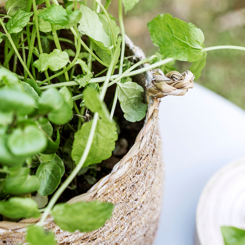 Kurv m. lille hank - Natur