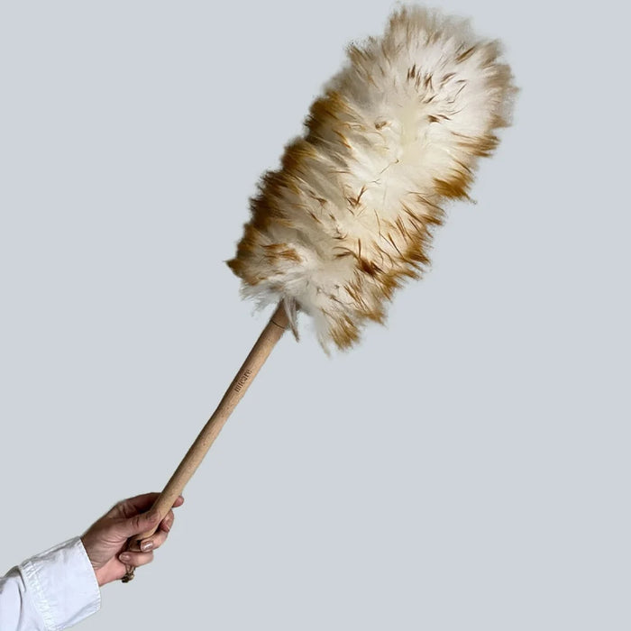 Micare - Støvkost - Bøgetræ