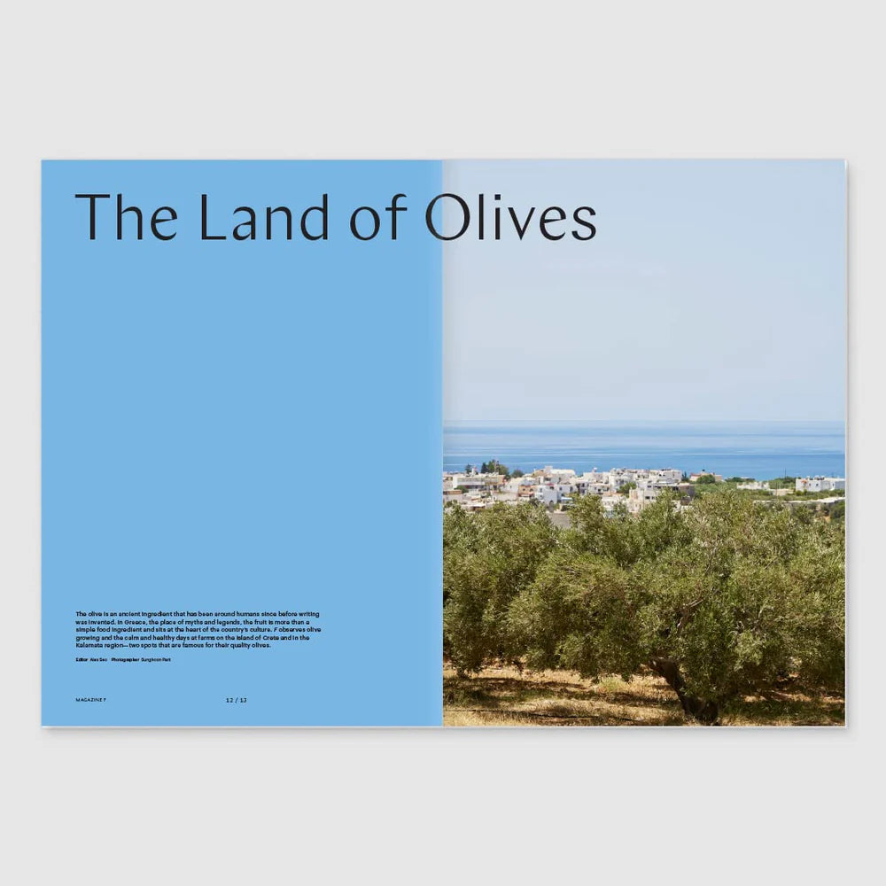Magasin F - Issue 22 - Olive